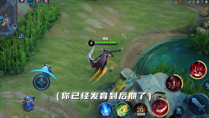 The three-item set that was supposedly the best match for Bai Qi has been completely removed???