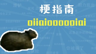 ما هو الميم "oiiaioooooiai"؟ [دليل الميمات]