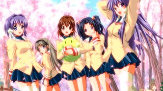 [8K update] Full version of "Clannad" OP1 "メグメル"