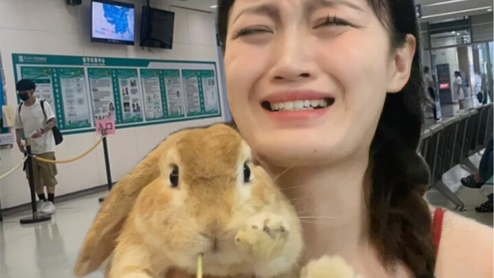 I’m Sick vs. My Pet’s Sick | Questioning Yixiu, Understanding Yixiu, Becoming Yixiu 🥹
