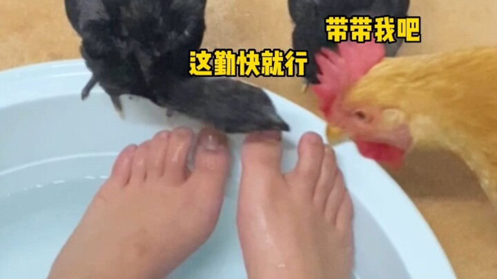 I just wanted to get a foot massage.