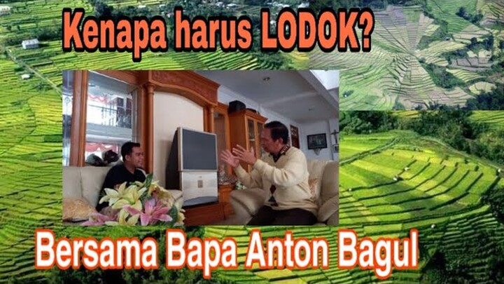 🔴 Mengapa Tanah di Manggarai dibagi dalam bentuk LODOK