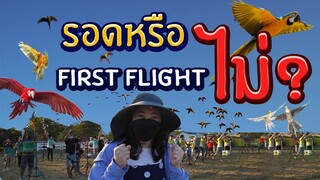 First Flight จะรอดหรือไม่!? Birdyard Farm EP.226