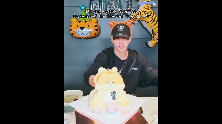 hoshi getting stressed after he showing his tiger/hamster hybrid cake 🐯🐹🎂😂 #seventeen #hoshi