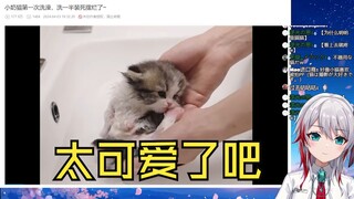 日本天然小姐姐看《小奶猫第一次洗澡，洗一半装死摆烂了~》：太可爱了吧