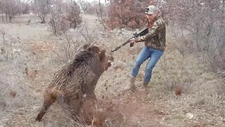 沉浸式消灭野猪，过程很爽很解压