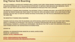 Dog Trainer And Boarding