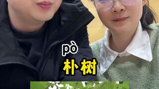 朴树老师对不起！