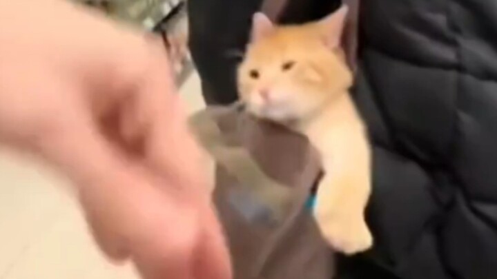 Vẫn không nhịn được mà bắt tay vào làm rồi!