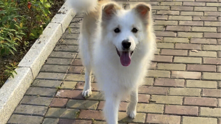 It’s still safer to stay home during your period.