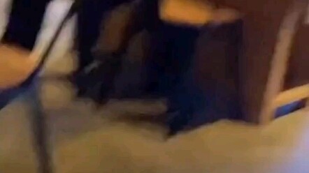 Kebahagiaan para kutu buku begitu sederhana