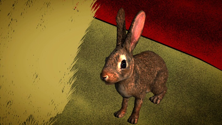 run rabbit