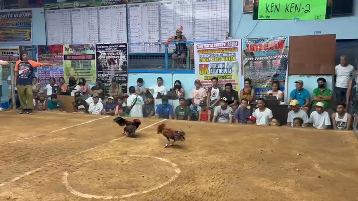 WIN! 02/19/26 2HITS ULUTAN @SMCA SECOND FIGHT!