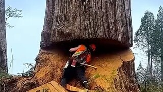 施工重地，不养闲人