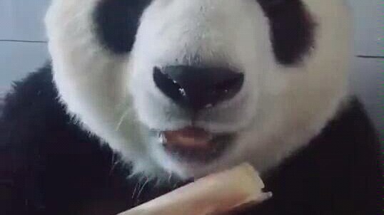You eat yours and watch what I do