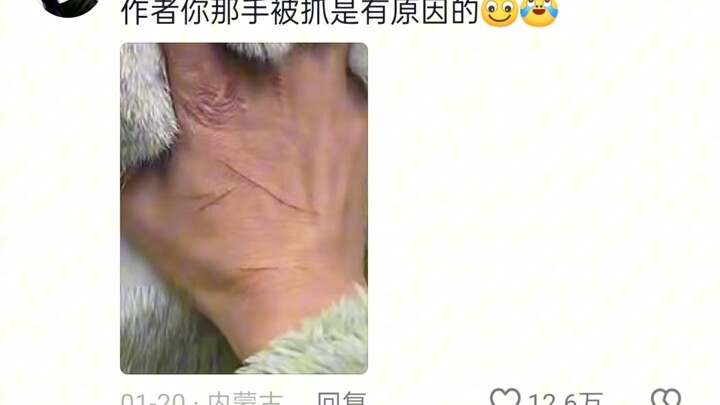 แมวตัวนี้ตลกที่สุด โกรธยังงับคุณไม่ถึงเลย