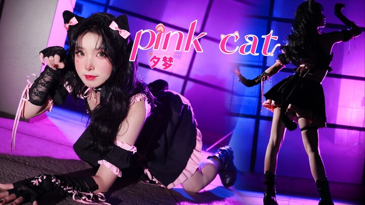 ♡kucing merah muda♡ Ayo cepat ambil kucing liar kecilmu~