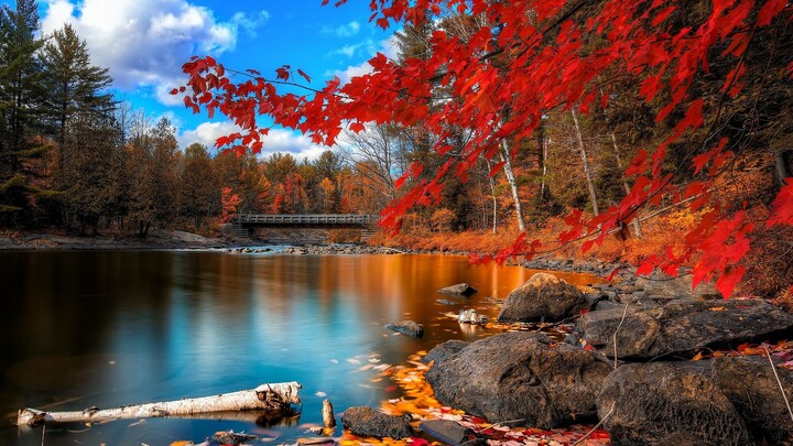 wallpaper engine wallpaper recommendation || natural real beautiful scenery wallpaper