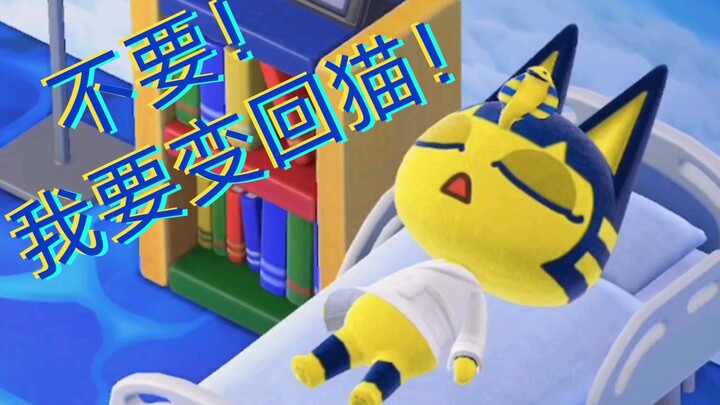 [Animal Crossing] The Sick Queen Cat is Talking in Her Sleep
