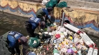 清理垃圾+垃圾分类