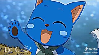 Tik Tok Fairy tail 👆| có chắc happy và lily là mèo của natsu và gajeel không 🤭| FT Lavit