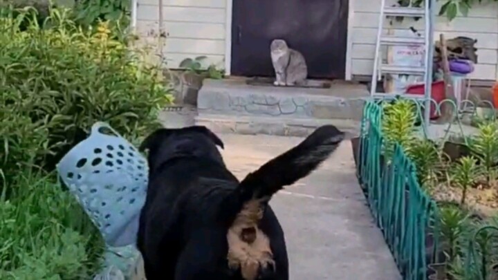 Ранней пташке жирный червяк 😉