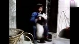 After the villagers picked up the wild panda…