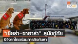 “เซียร่า–ซาฮาร่า” สุนัขกู้ภัย K9 จากไทยร่วมภารกิจค้นหา l TNN News ข่าวเช้า l 11-02-2023