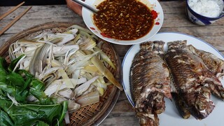 Lưới cá vườn dừa. Cá nướng bắp chuối luộc mắm nêm - Bin Đen Miền Tây # 294