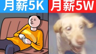 当 代 毕 业 生 生 存 现 状 3.0