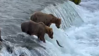 Amazing video ANDITS