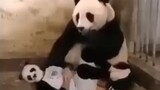 that scares the h*** out of the Panda. .