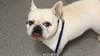 Tôi giỏi lắm cũng chỉ là nồi cơm điện thôi!