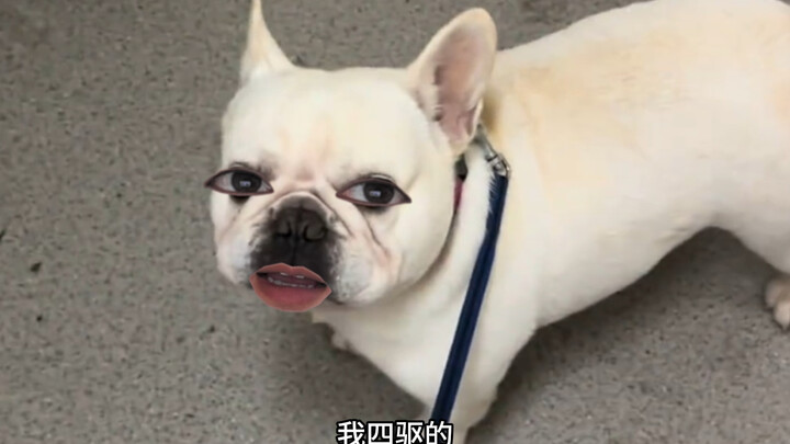 At best, I'm just a rice cooker!