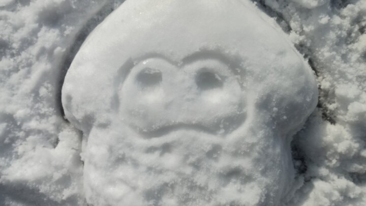 在阳台找到了冻住的鱿鱼