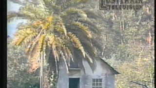Enche Chouriços + Intervalo RTP Canal1 1990