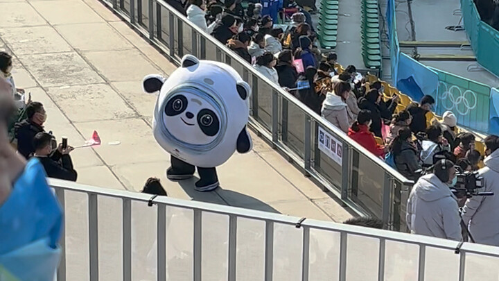 快看！这个冰墩墩会360度旋转！