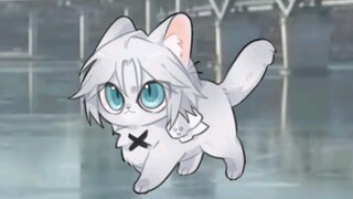 结冰的生命之流上有一只萨猫在行走