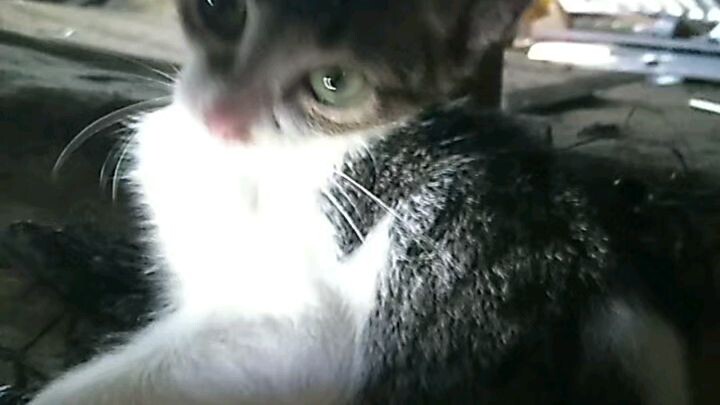 Rertas certas & the Secret to make 😍😍😍