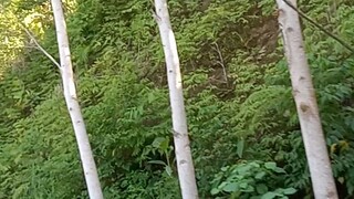 beautiful nature