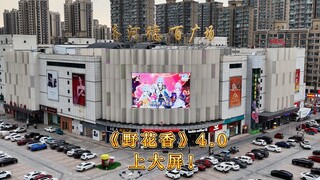 航拍大屏？野花香？牌面拉满！