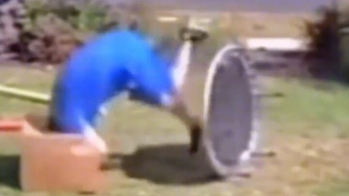 “ท่าฉลองที่ดีที่สุด”