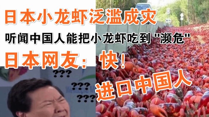 Japanese crayfish are rampant, and I heard that Chinese people can eat crayfish to the point of enda