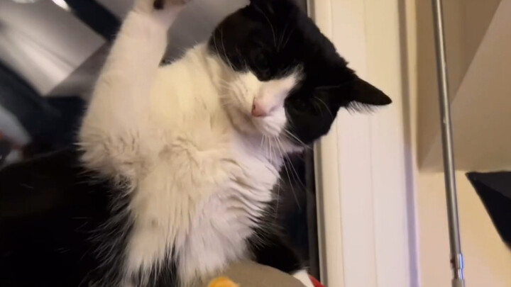 You're giving me an orange?