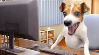 [quen thuộc/meme mèo] Gia đình mèo mất ngủ