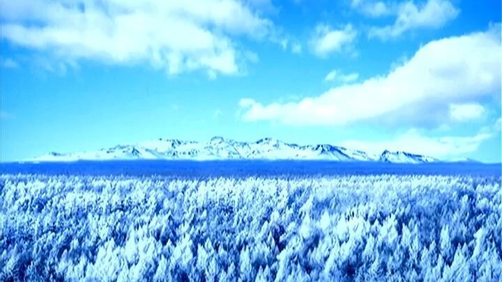 Televisão Central da Coreia (17.01.2026)