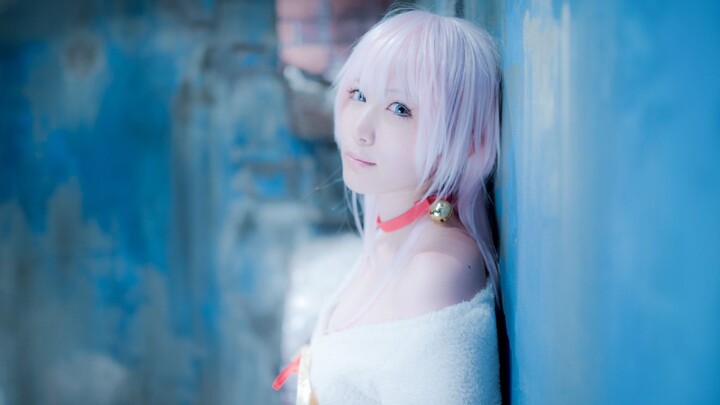 【Cosplay】Cos cat girl Neko cute