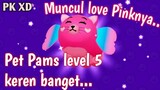 Pet Pams di Level 5 keren banget muncul Love Pinknya | PK XD update terbaru