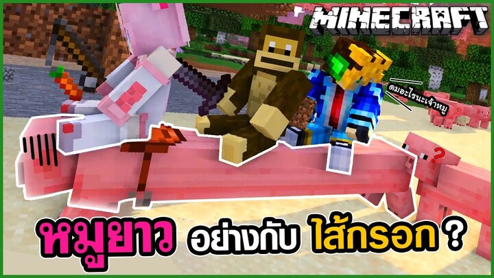 เมื่อโลกของ Minecraft มีหมูยาวอยู่จริง!!