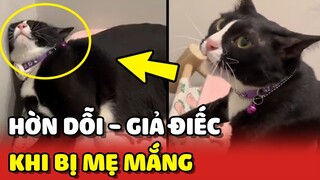 Hoàng Thượng GIẢ ĐIẾC và HỜN DỖI khi bị mẹ MẮNG 😂 | Yêu Lu